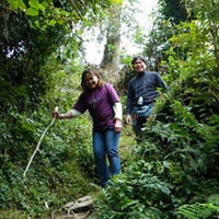 Trek to Darjeeling and Sikkim Hills Tour