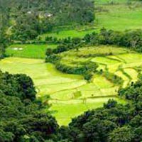 Coorg 5 Days / 4 Nights  Tours