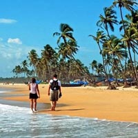 GOA Tour