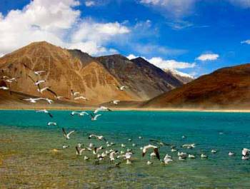 Srinagar – Ladakh – Manali Tour 10 Days June – October Month
