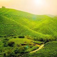 North East Delight with Kalimpong Tour