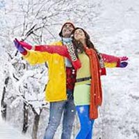 Shimla Manali Honeymoon  Tour