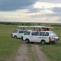 Lake Nakuru, Masai Mara, Amboseli and Tsavo west safari Tour