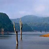 3 Days Periyar Tour with Tree house