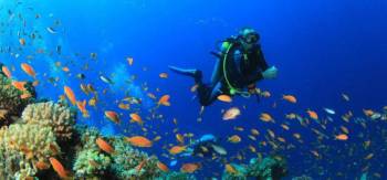 Combo of Scuba Diving and Watersports in Goa