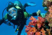 Scuba Diving with Watersports in Malvan