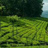 Coonoor with Ooty Tour