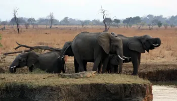 2 Days Mikumi National Park Tour