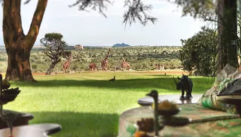 8 Night - 9 Days Golfing Tour Package