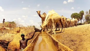 Cradle Of Mankind 19N - 20D Tour