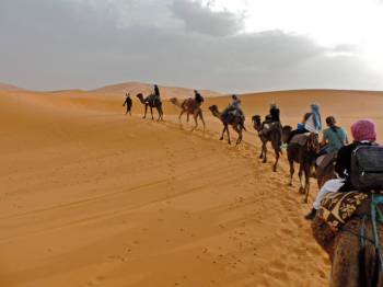 Fez Desert Tour to Marrakech Tour Package