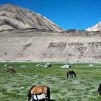Splendour of Ladakh Tour