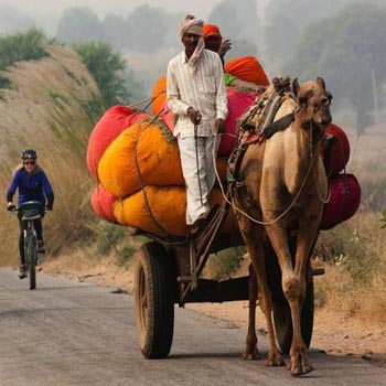 Rajasthan Cycling Tour