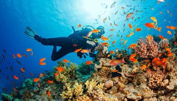 4 Night 5 Days Week End Tour