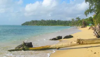 Havelock Luxury Tour Package