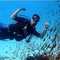 Diving Tour package