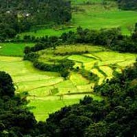4 Blissful Days in Coorg Tour