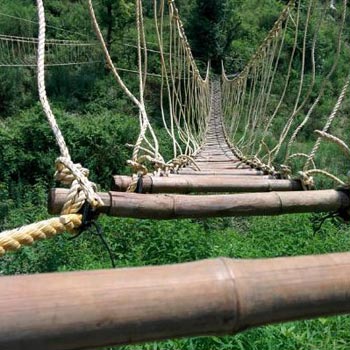 Bamboo Bridge Tour