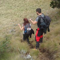 6-Day Kilimanjaro Trekking via Machame Route Tour