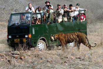 Dhikala Tiger Safari Tour