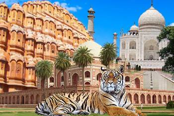 Gurgaon Agra Fatehpur Sikri Ranthambore Jaipur Tour