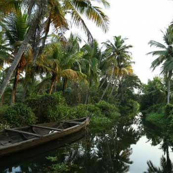 City Tour and Backwater Cruise - Cochin Tour