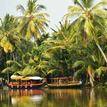 Exotic Kerala Tour Package