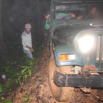 Night Jeep Safari Tour