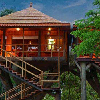 Periyar Tour with Treehouse