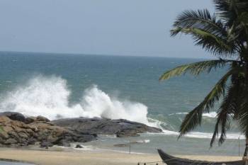 8 Days Best of Kerala