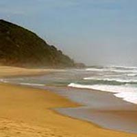 Beach Tours in Odisha