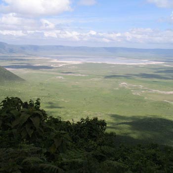 3 Days / 2 Nights Safari To Tarangire, Ngorongoro And L/Manyara.