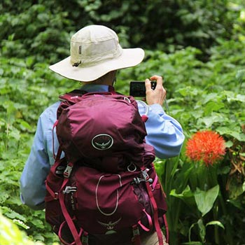 8 Days Machame Route Tour