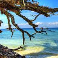 Blissful Andaman Tour With Neil Island