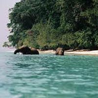 Andaman Honeymoon Pa.. - Port Blair,Havelock,..