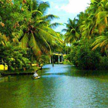 Kerala Honeymoon Packages 4 Star Hotels