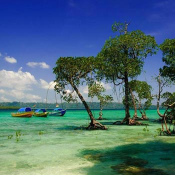 Splendid Andaman Island Tour