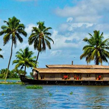 Kerala Tour - Cochin - Munnar