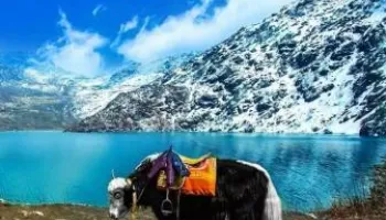 Gangtok – Pelling – Darjeeling Tour