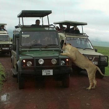 East Africa Tanzania Tours