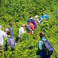 2 Nights Bisoke Hike and Cultural Experience Tour