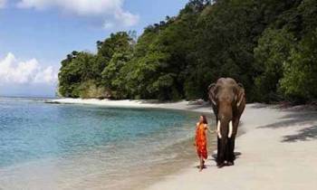 07 Days Andaman Trip