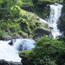 Coorg - Iruppu Falls - Nagarhole In 2 Days From Madikeri