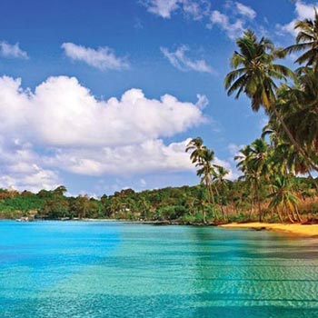 Discover Andaman With Neil Island Package