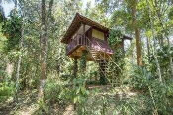 3 Days / 2 Nights Treehouse Tour Package Periyar
