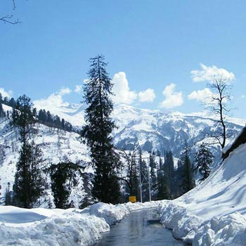 Shimla, Manali Destination Package