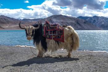 04Night 05Day Leh-Ladakh Short Trip
