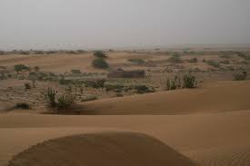 Plan a holiday in Jaisalmer with Dangri Desert Camps & Resorts Tour