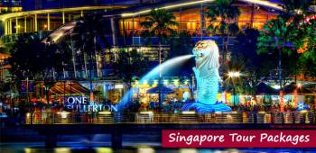 Best of Singapore Package