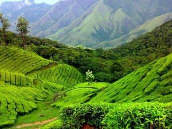 Coimbatore with Ooty Tour